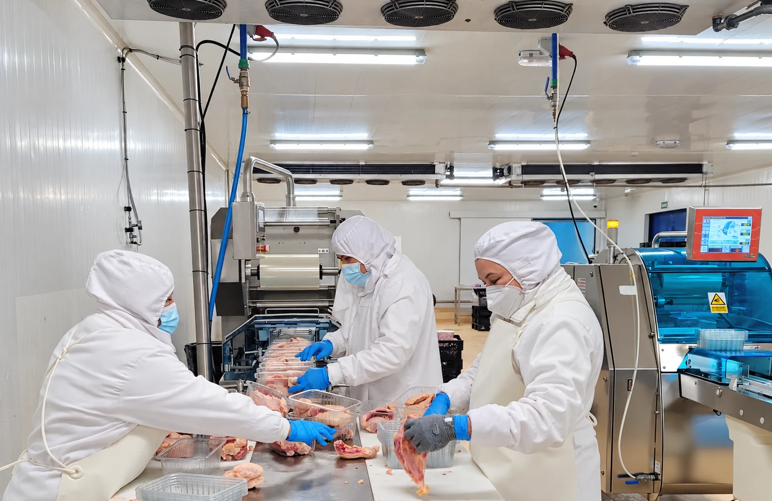 Operarios de Kovo en la zona de preparación y envasado