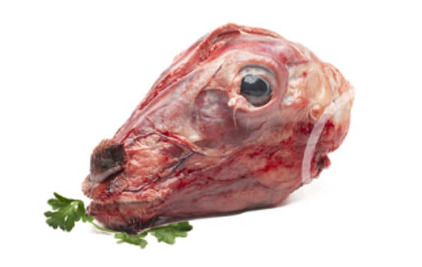 Cabeza de cordero