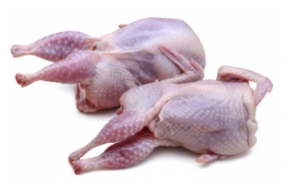 Codornices