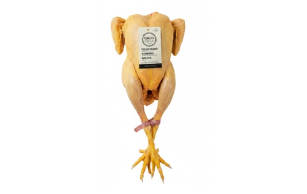 Gallo celta