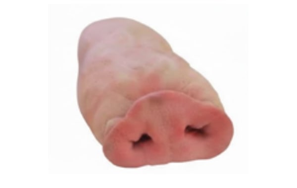 Morros de cerdo