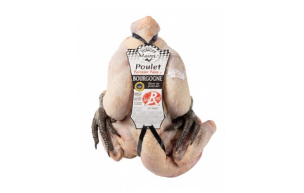 Pollo pata negra